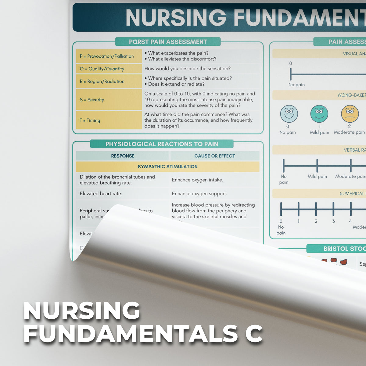 Fundamentals of Nursing Poster - B3 Size