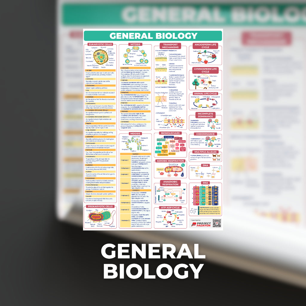 STEM SHS Posters - Mathematics and Sciences