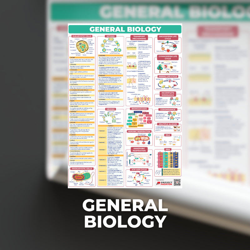 STEM SHS Posters - Mathematics and Sciences