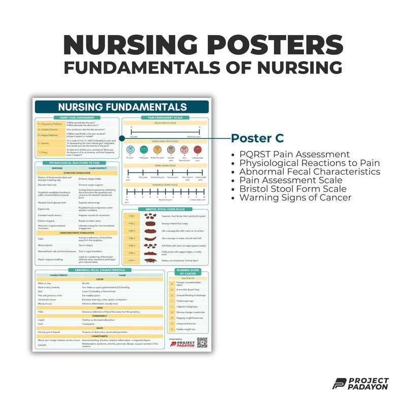 Fundamentals of Nursing Poster - B3 Size