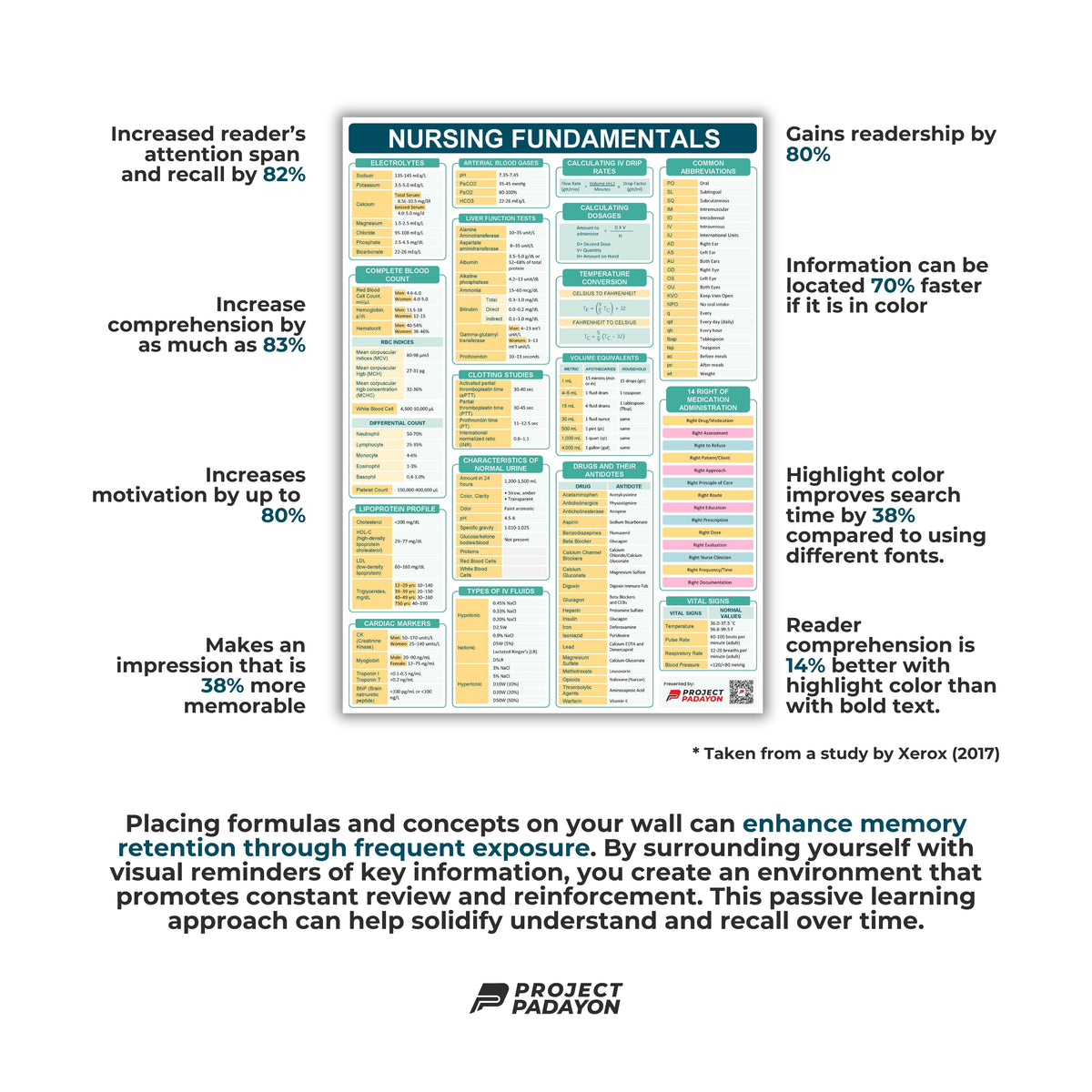 Fundamentals of Nursing Poster - B3 Size