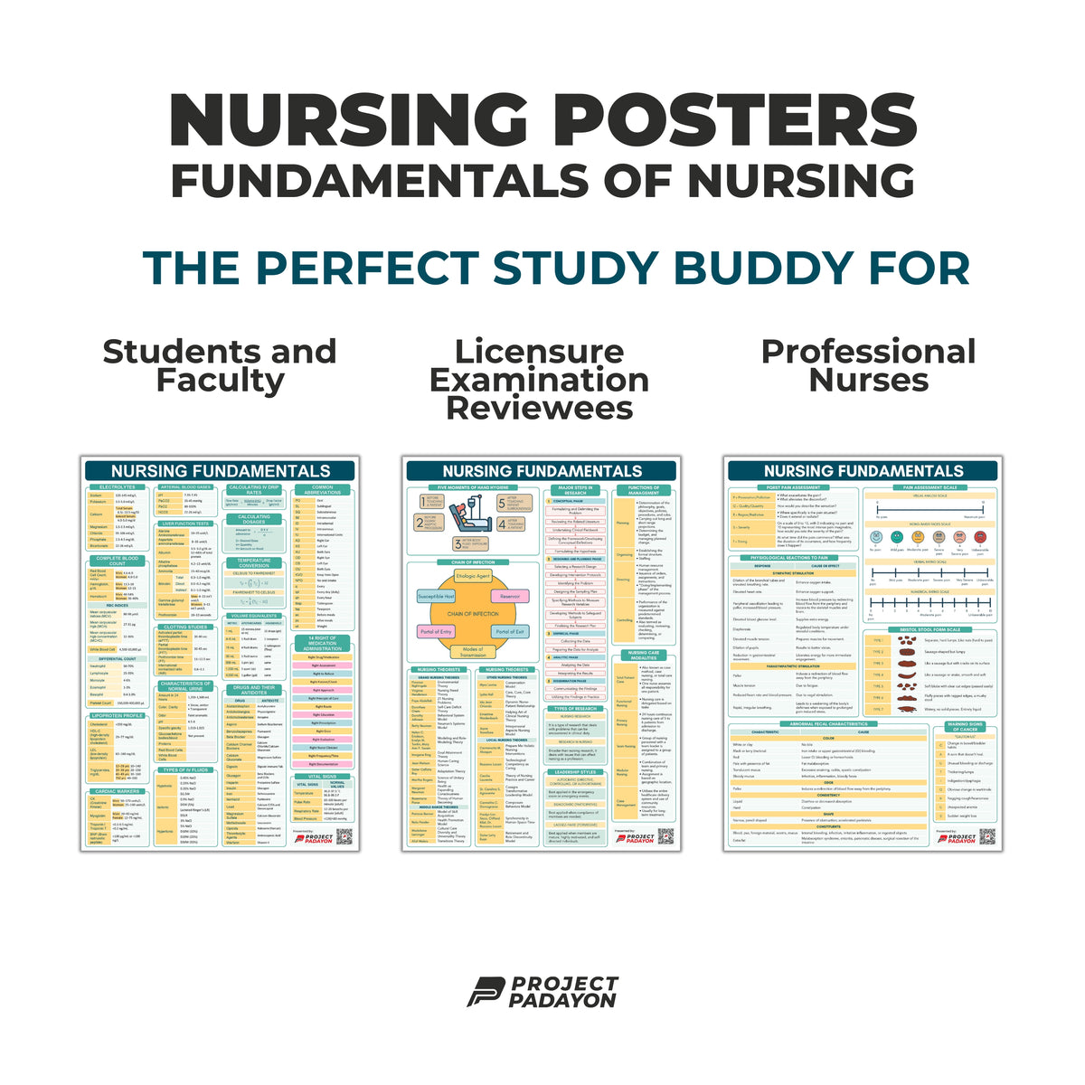 Fundamentals of Nursing Poster - B3 Size