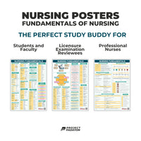 Fundamentals of Nursing Poster - B3 Size