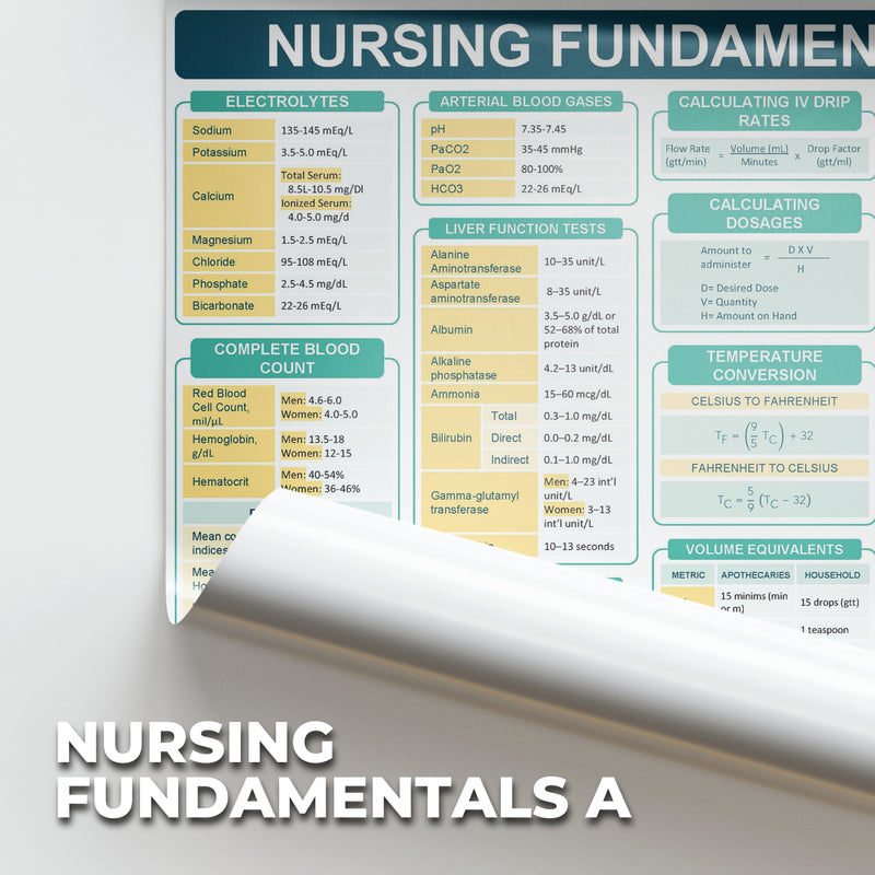Fundamentals of Nursing Poster - B3 Size