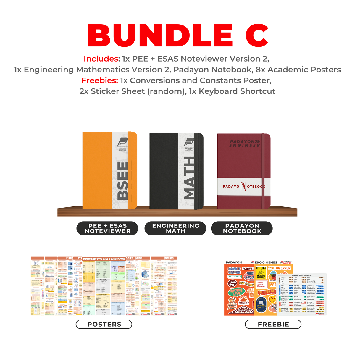 EE BUNDLES -Version 2 - Eng'gSciences & Allied Subjects + Professional Electrical Engineering +Math